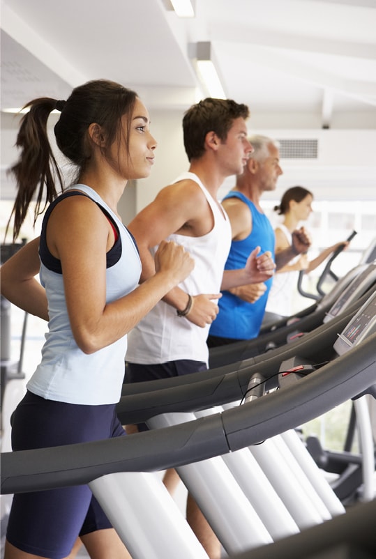 Cardio Equipment